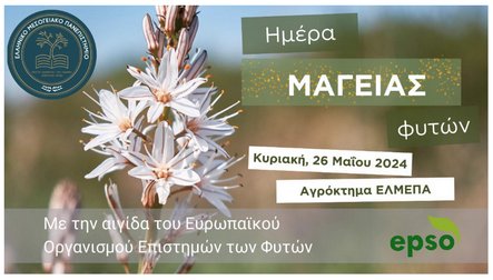 Εικόνα που περιέχει κείμενο, λουλούδι, στιγμιότυπο οθόνης, φυτό